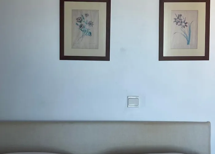 Luxurious Traditional *