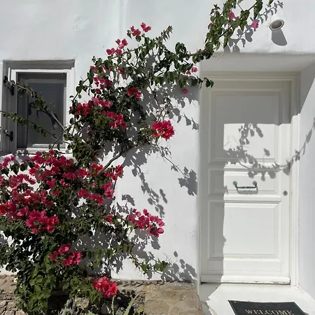 Luxurious Traditional