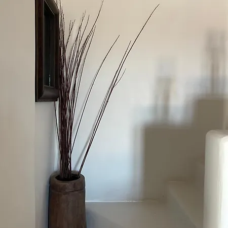 Luxurious Traditional Mykonos Town