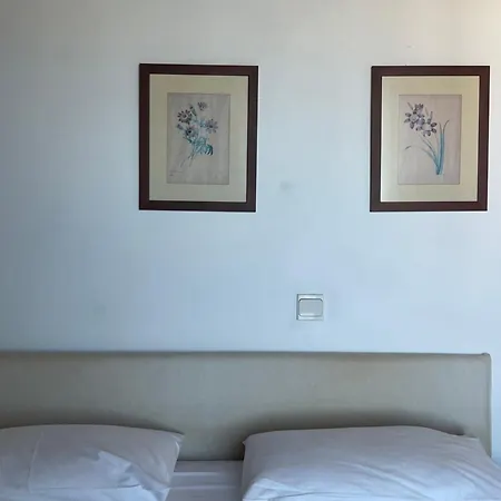 Luxurious Traditional *