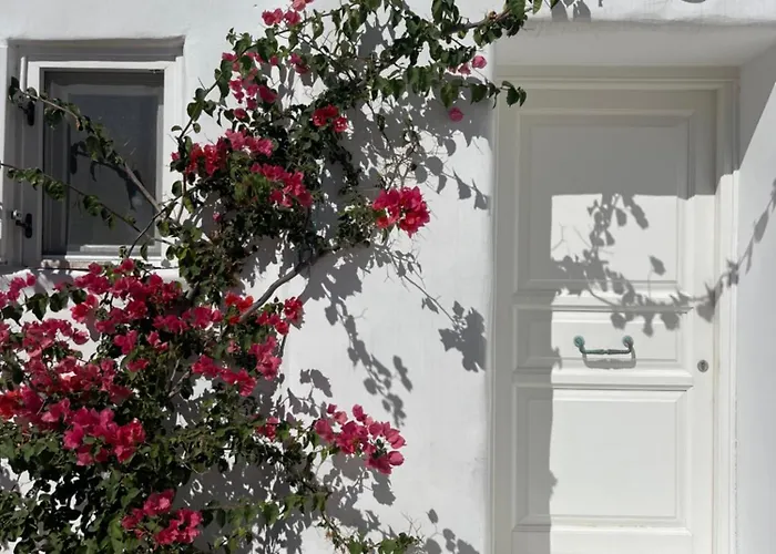 Luxurious Traditional